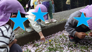 蟻にタンポポをあげようとしているところ