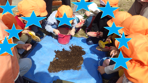 畑の中から見つけた幼虫を観察しているところ