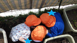 園庭にあるプランター置き場から、カタツムリを発見し、観察を楽しんでいるところ