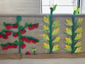 写真：5歳児クラスが作った夏野菜