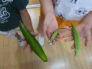 写真：収穫したきゅうりとオクラ
