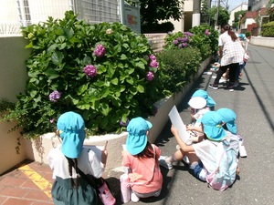 5歳児クラスの子ども達が紫陽花の絵を描いているところ