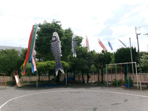 園庭の鯉のぼり