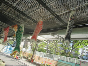 ベランダに飾ってあるこいのぼり