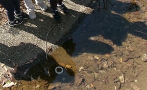 写真：おたまじゃくしとお別れしている