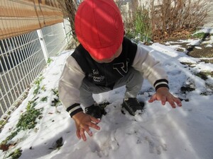 雪遊びの様子