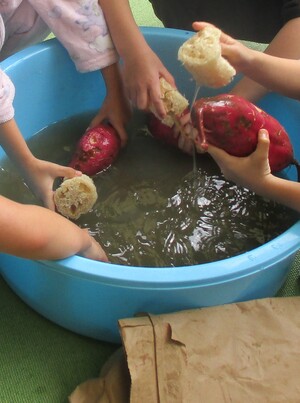 へちまでさつま芋洗い