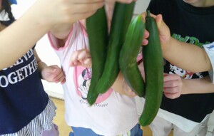 子どもたちが採ったキュウリを見せている様子。