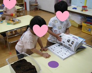 写真：図鑑で調べている様子