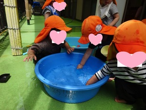 水遊びの写真