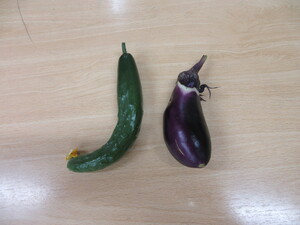 収穫したキュウリとなナス