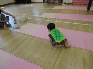 ハイハイレース