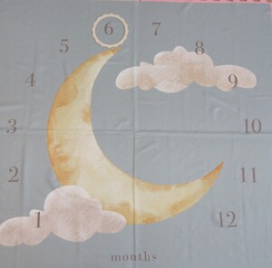 マンスリーフォトコーナー