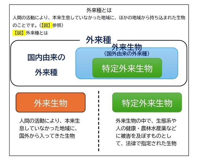 外来種とは