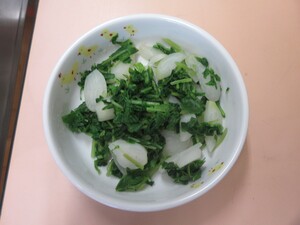 写真：はつか大根の写真