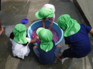 4歳児が色水で遊んでいます