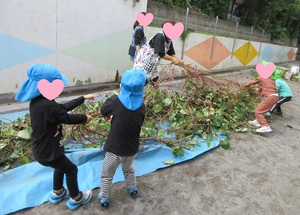 写真　さつまいものツルを運ぶ