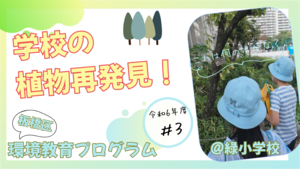 学校の植物再発見！【緑小学校】（外部リンク）