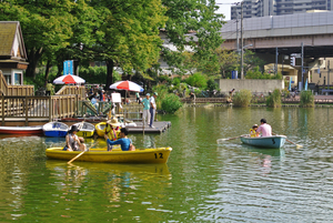 写真：見次公園3