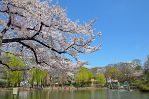 写真：見次公園4