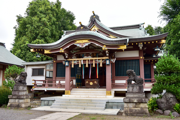 写真:赤塚氷川神社