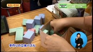 サムネイル：手作りの立体パズルについて