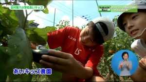 サムネイル：野菜を収穫する少年