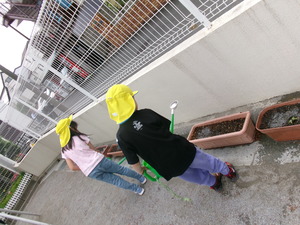 あさがおに水やりをする5歳児