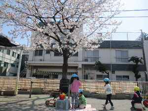お花見を楽しむ子どもたち