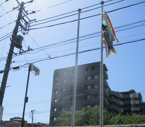 こいのぼりあげ