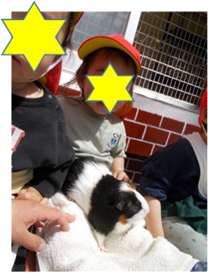 写真:1歳児がモルモットを撫でている様子