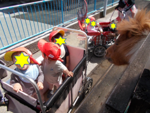 写真：ポニーを見ている1歳児の子どもたち