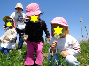 写真：たんぽぽの綿毛を飛ばす2歳児の子どもたち