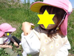写真：手に付いたてんとう虫を見る2歳児の子ども