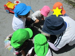 写真：捕まえた蝶々を観察する子どもたち