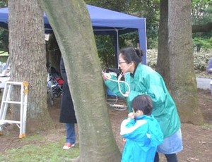 写真2：木の音を聞く様子
