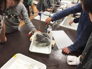 写真2：実験の様子2