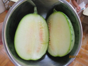 収穫したスイカ