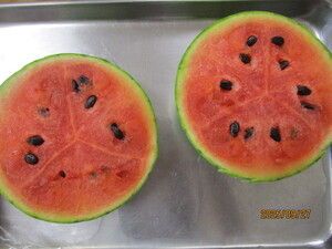 スイカの写真