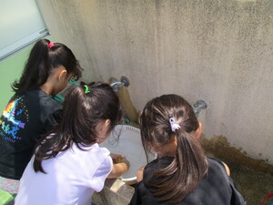 じゃがいもを洗っている様子です