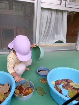 1歳児　どんぐりと落ち葉