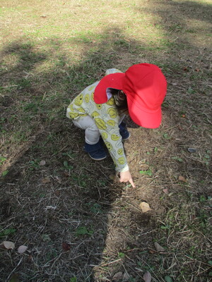 落ち葉を指さす1歳児