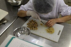 写真：作業風景