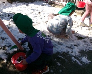 バケツに雪を入れる様子