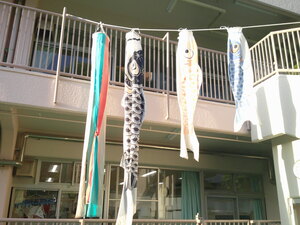 保育園で飾っているこいのぼり