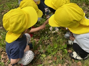 公園で虫を観察する2歳児