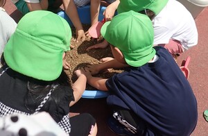 土に手を入れて肥料を混ぜる様子