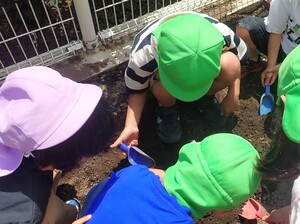 虫を見つけてのぞき込む幼児の姿