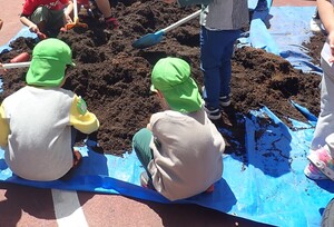 ブルーシートに土を出して天日干しをする姿