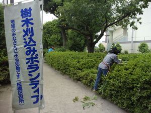 写真：刈り込み作業の様子